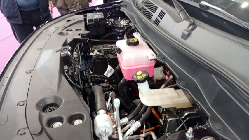 фото: Антон Черныш/TatCenter.ru