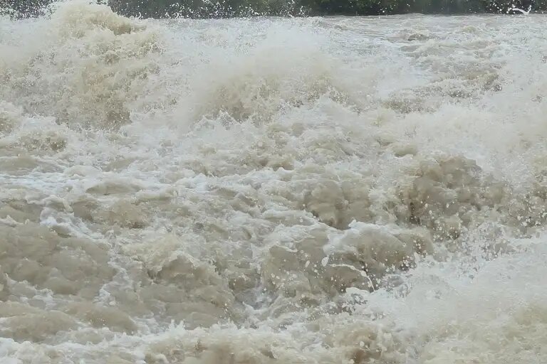    Источник: pixabay.com