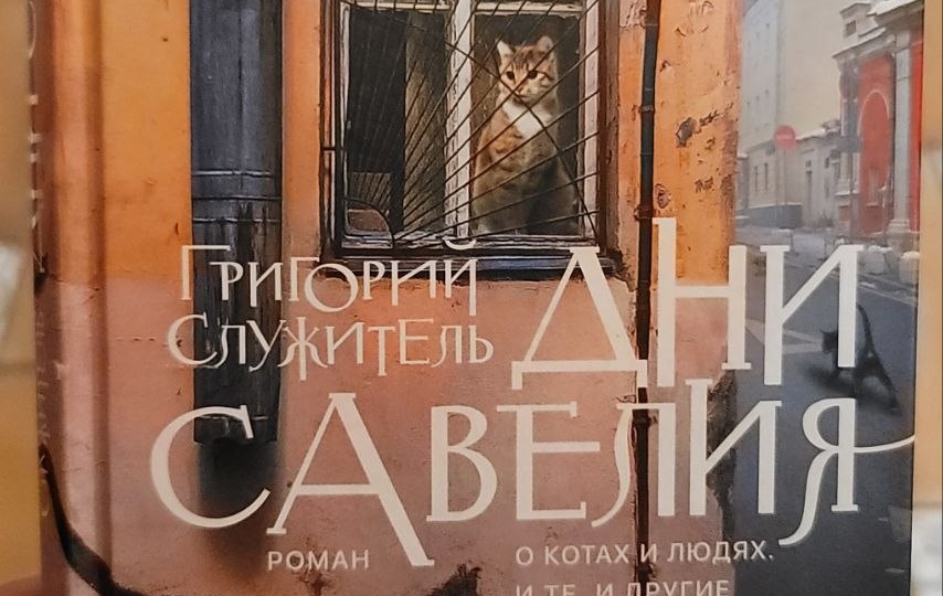 Книга о Москве и котиках: Дни Савелия
