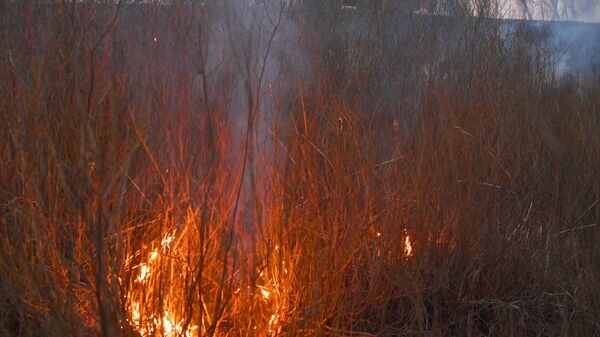    © Sputnik / Виктор Веткин