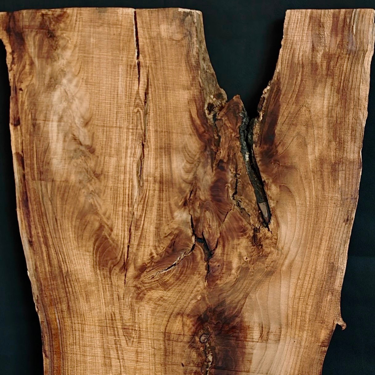 Слэб магнолии