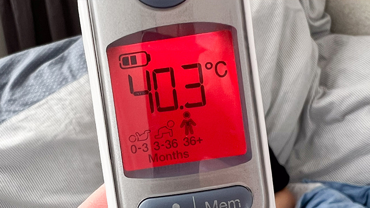 Фото: www.globallookpress.com / © Julian Stratenschulte