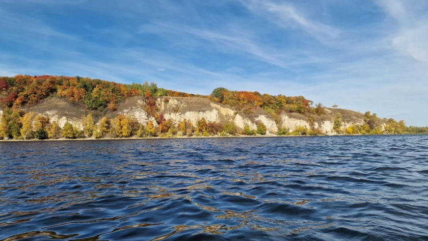    Фото Анастасии Дмитриевой