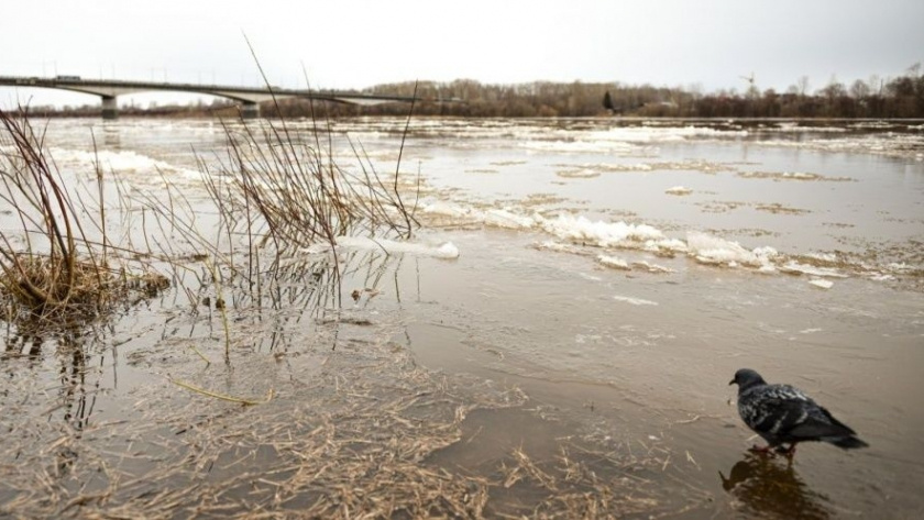    Фото администрации города Кирова