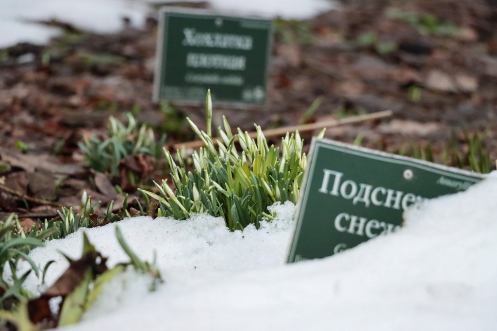    Фото © АГН «Москва» / Мобильный репортер