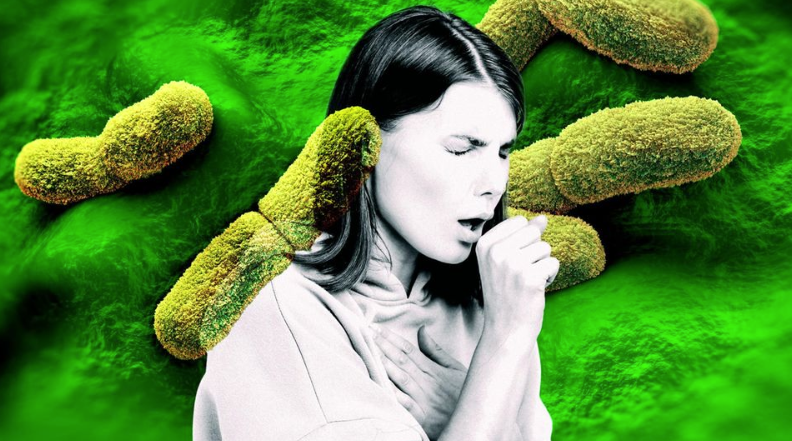 Если не лечить лёгочную чуму, она приводит к 100-процентному летальному исходу. Болезнь вызывается бактерией Yersinia pestis (показана желтым цветом на картинке) и до сих пор встречается в некоторых районах США © stern-Montage: Photos: Getty Images (2)