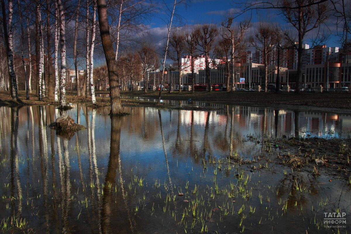 Фото: © Максим Герасимов, photo.pravda-nn.ru