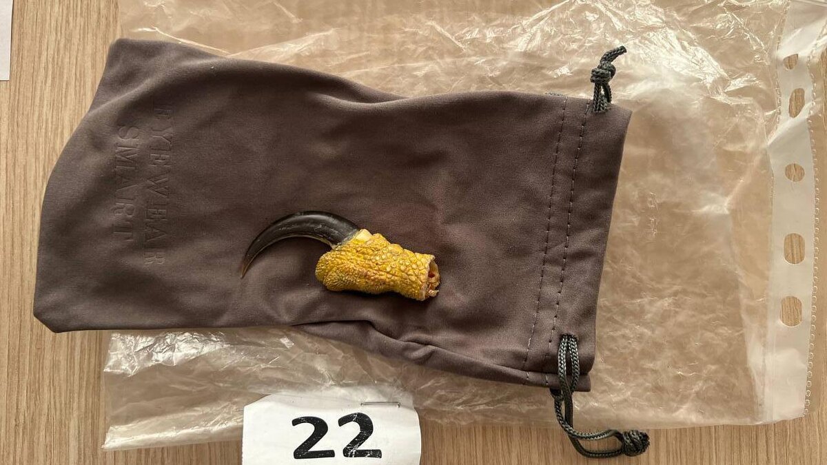    Фото: пресс-служба Северо-Западного таможенного управления