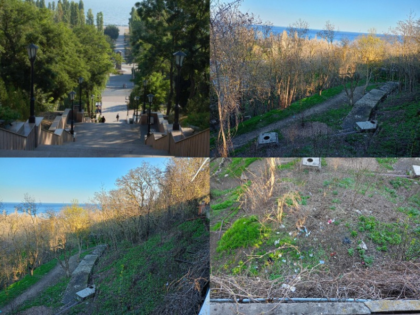 Фото: редакционный коллаж «Блокнот. Таганрог"/ISasha/wikipedia.org