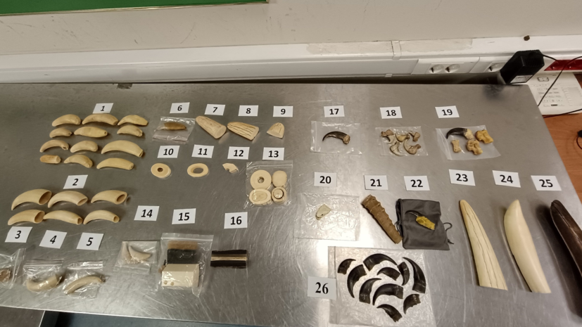    Вера Филиппова, начальник пресс-службы Северо-Западного таможенного управления