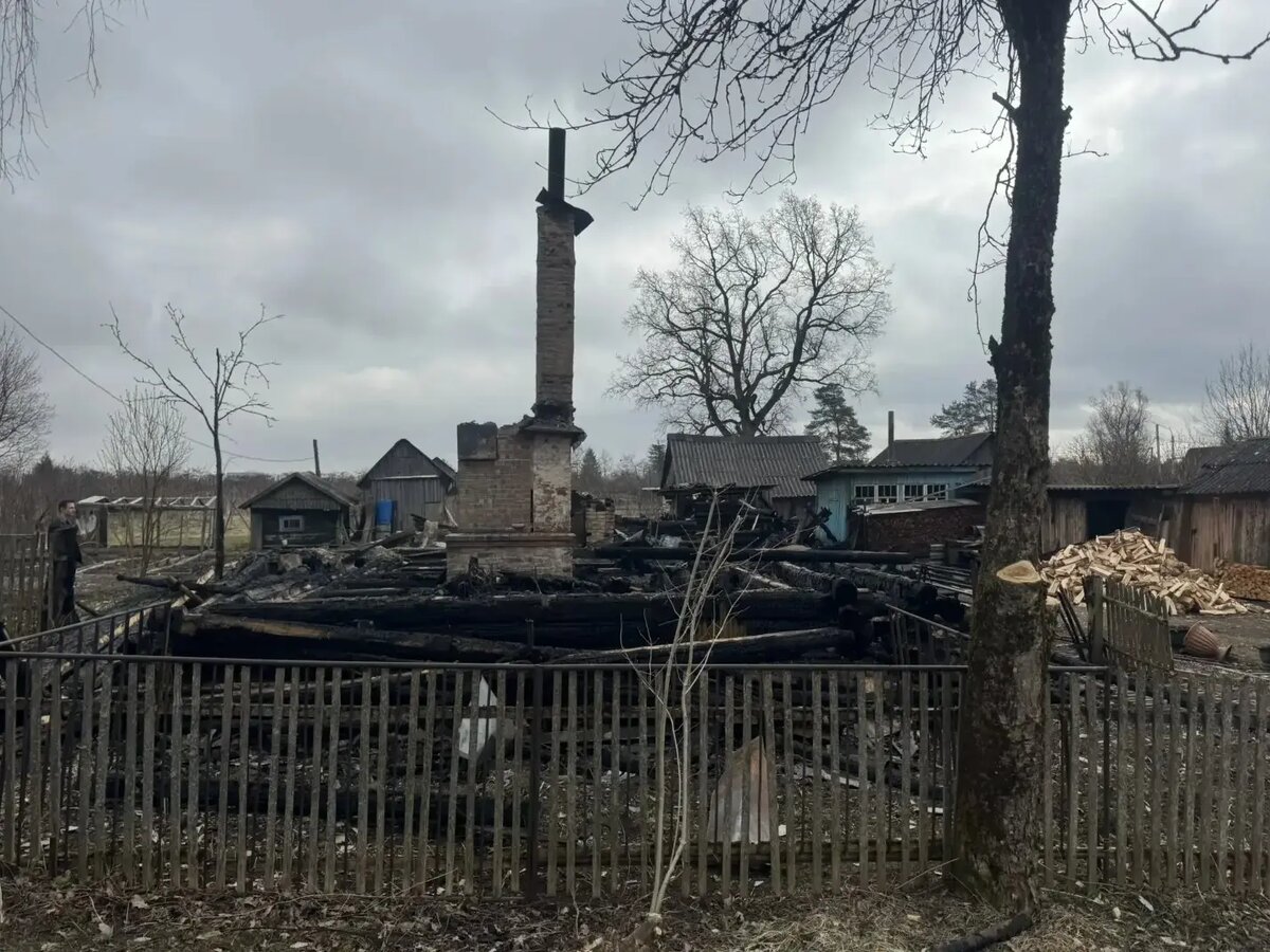    Фото: СУ СК РФ по Ленобласти