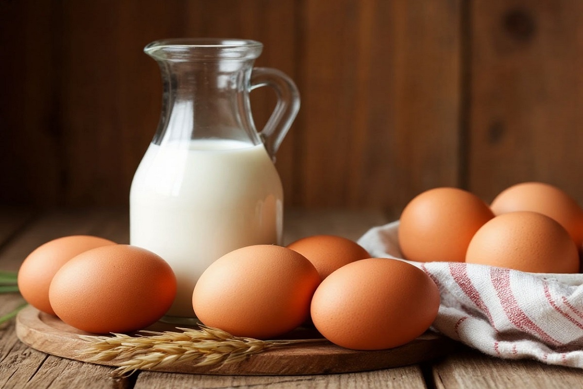    Фото: Коллаж RuNews24.ru