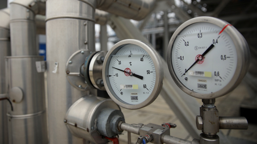    Фото: © РИА Новости/Виталий Тимкив; 5-tv.ru