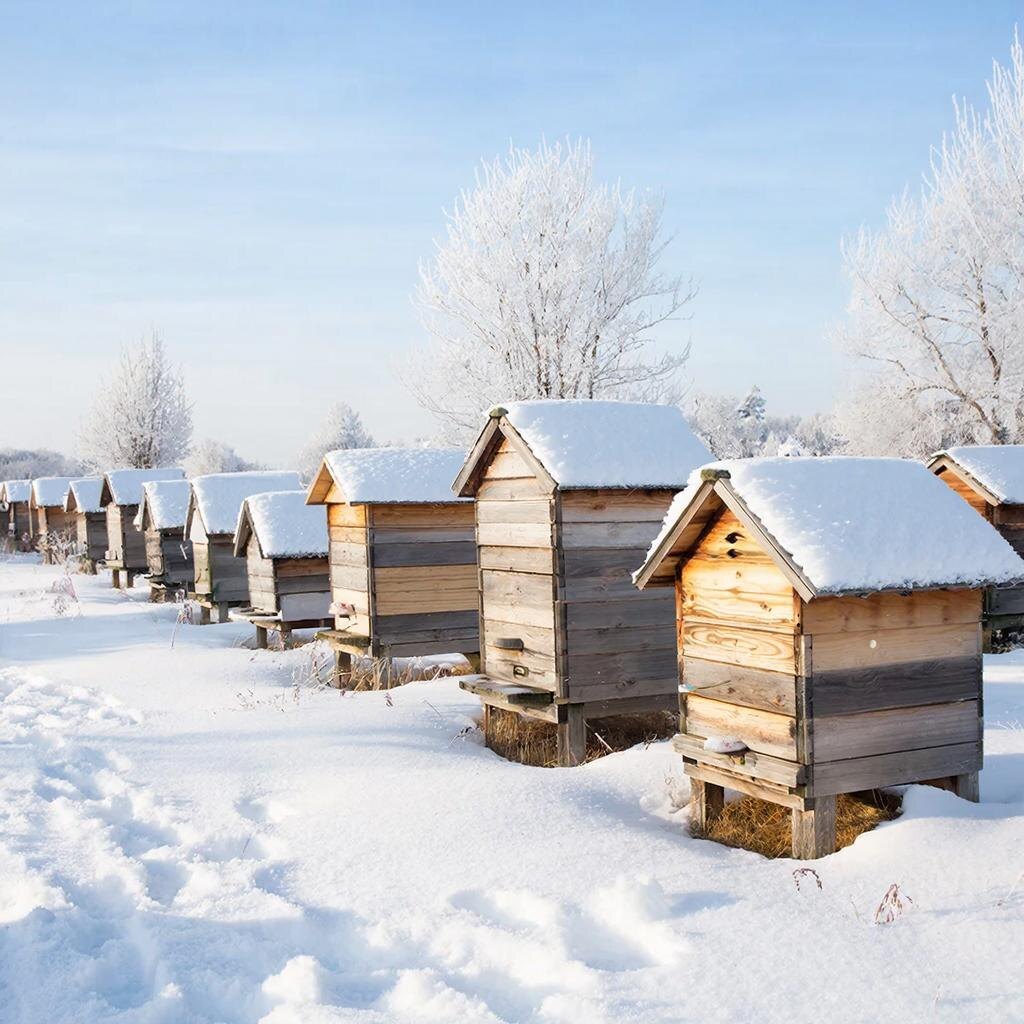 Изображение сгенерировано сервисом GigaChat 