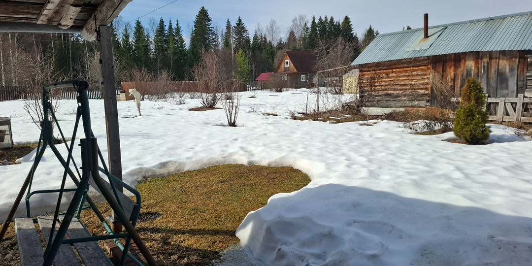 Редиска, бархатцы и бочка снега.