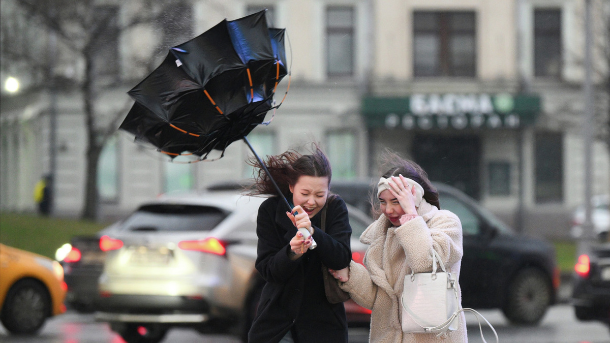   Максим Блинов / РИА Новости