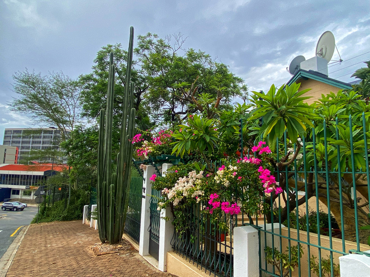 Кактусы у них, конечно, впечатляют