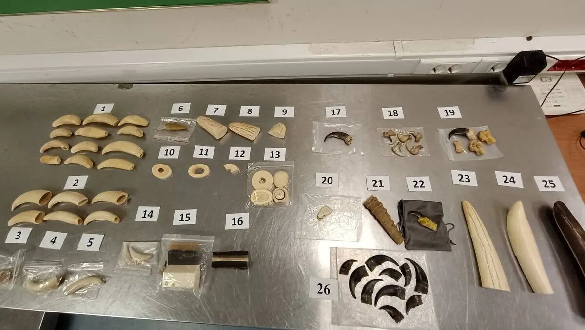    Фото: пресс-служба ФТС