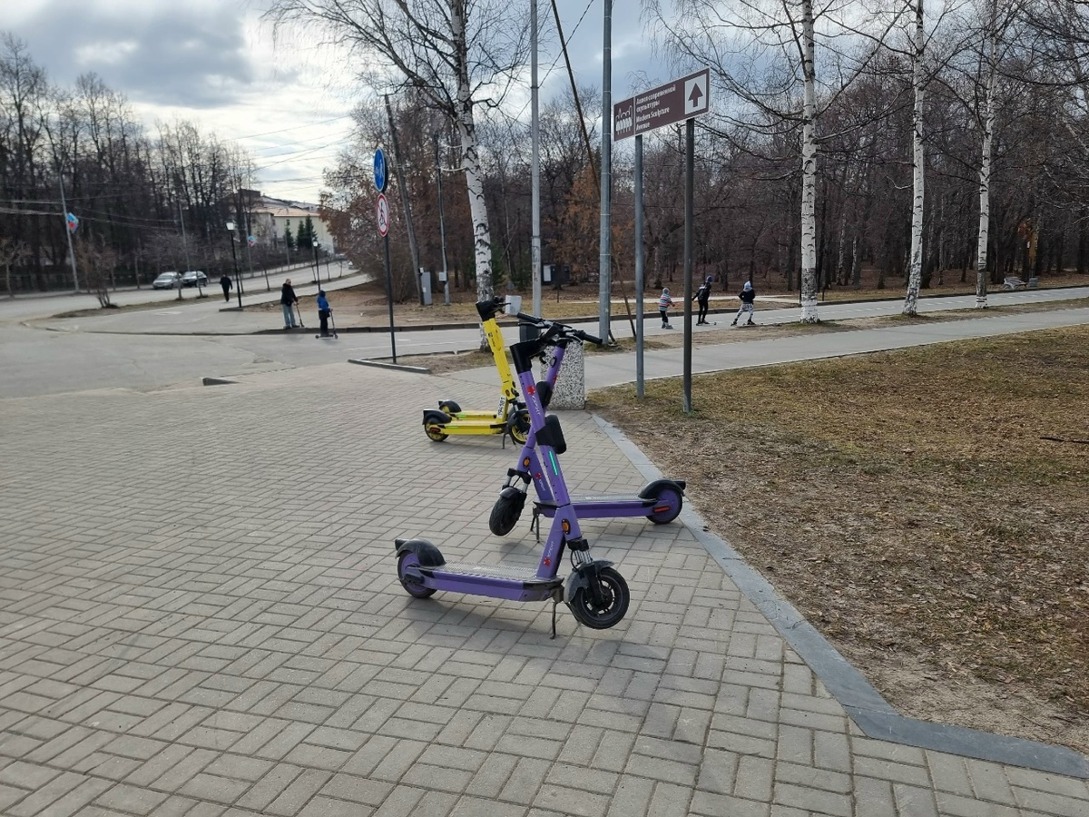    Ирина Яковлева