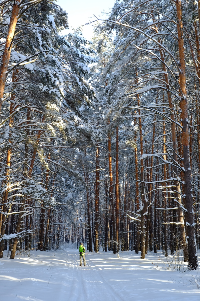 Вот можно ли на лыжах пересечь границу (законно) -  не знаю. Зима 2026 г. Фото автора