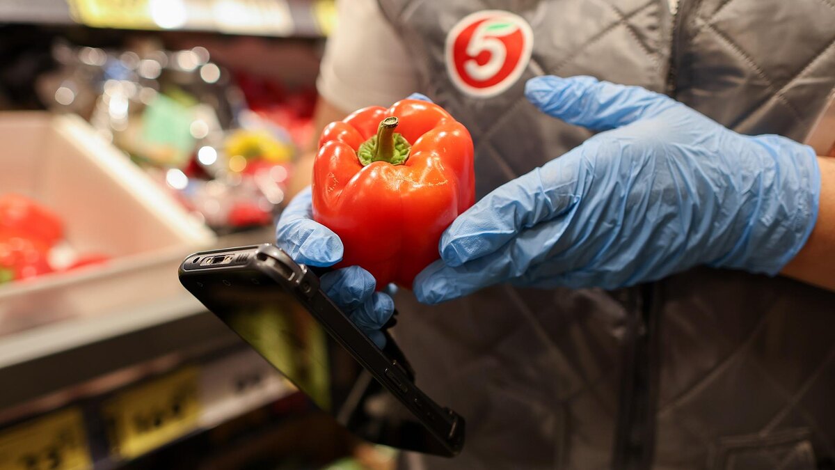 Фото: Belkin Alexey/globallookpress.com