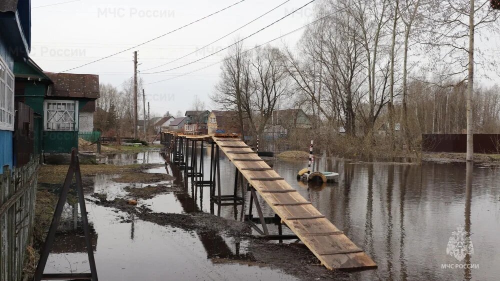    Фото: ГУ МЧС России по Брянской области