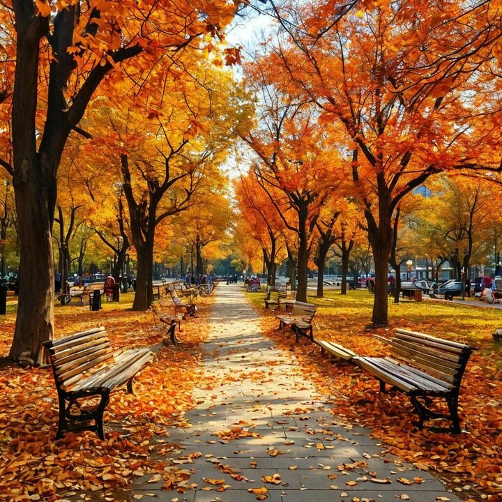 Фото с интернета. 