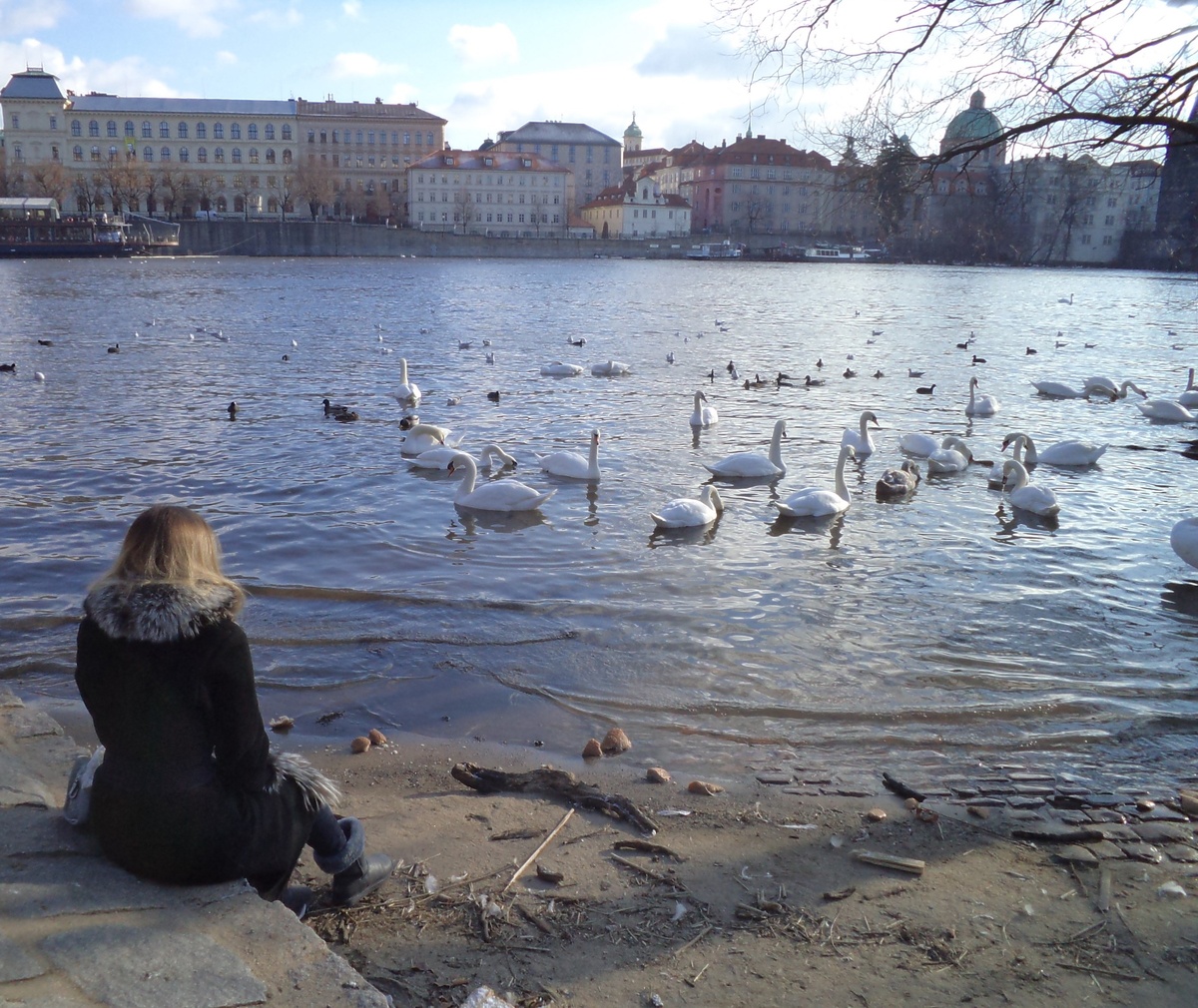 Река Влтава. Прага. Чехия.