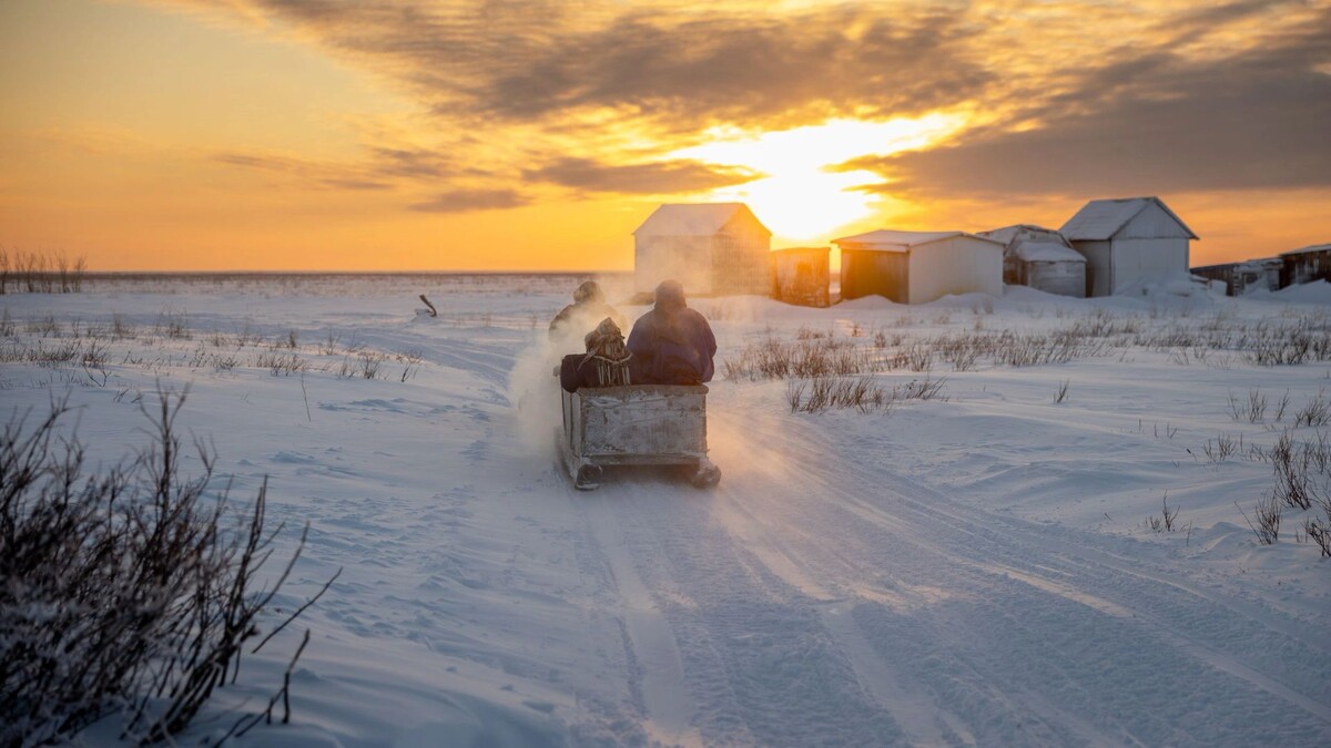    Фото: Федор Воронов / «Ямал-Медиа»