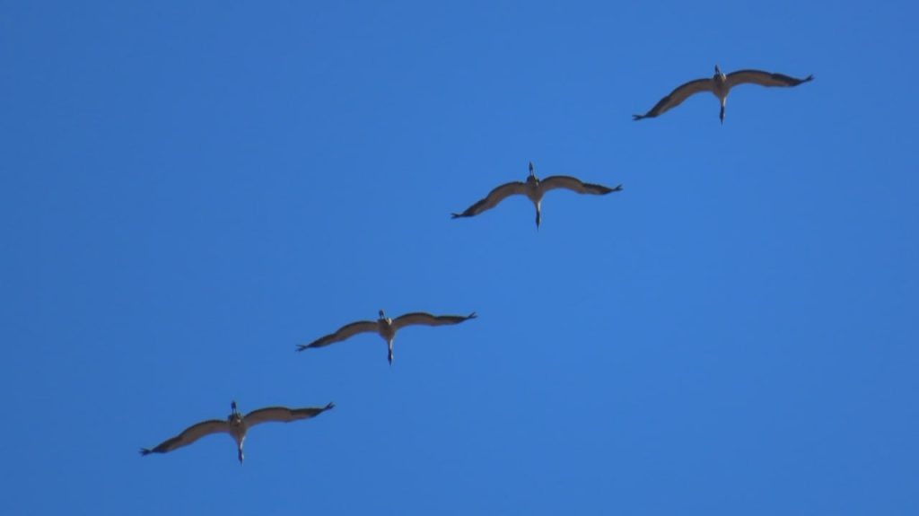 
📷
📷
📷
📷
📷
