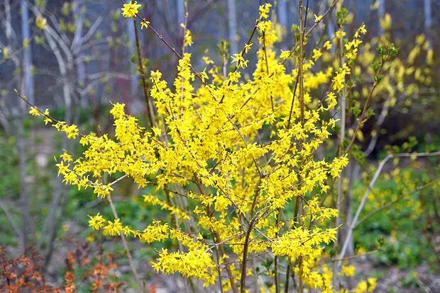    Источник: lenta.ru/ Диана Петровская