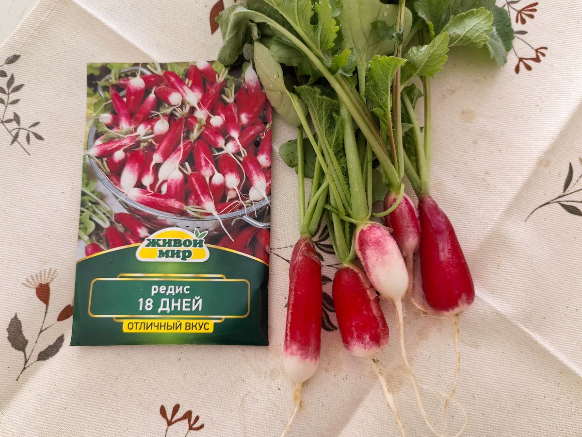Редис "18 дней"