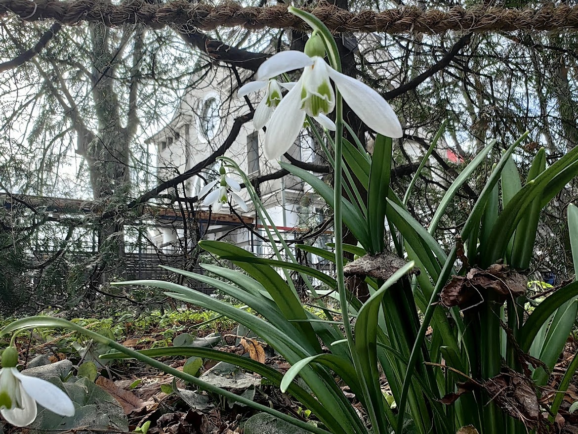 Сама нежность