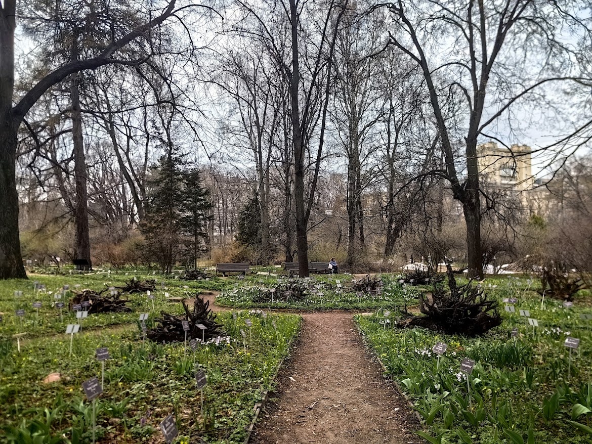Каждая травинка подписана, ведь вы в настоящем ботаническом саду!