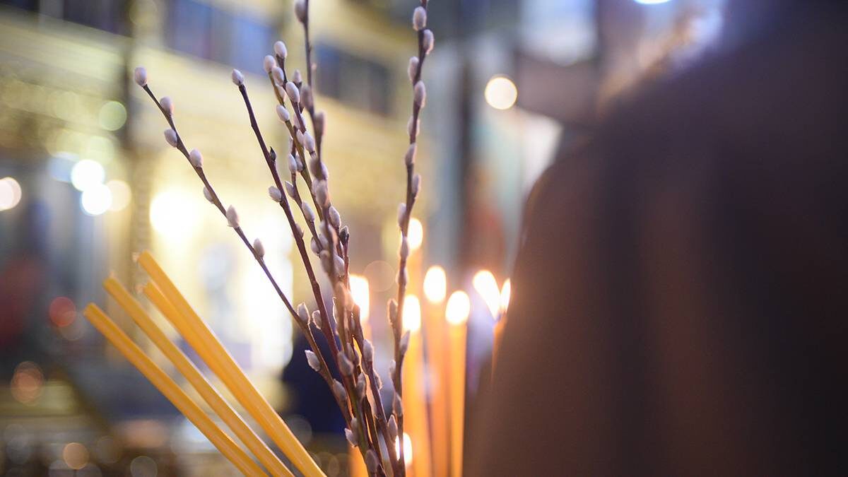    Фото: Пелагия Замятина / Вечерняя Москва