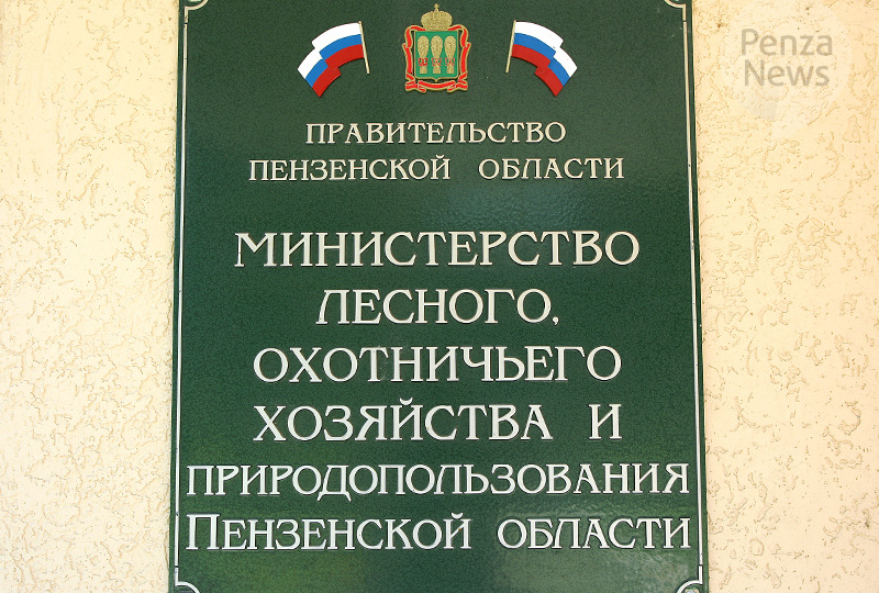 В Пензенской области выявлено шесть нарушений охотничьего законодательства
