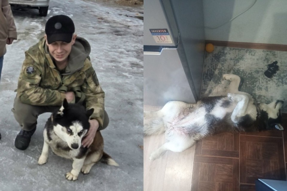    Встретившая хозяина Шерри начала снова радуется жизни из личного архива героя(ев) публикации