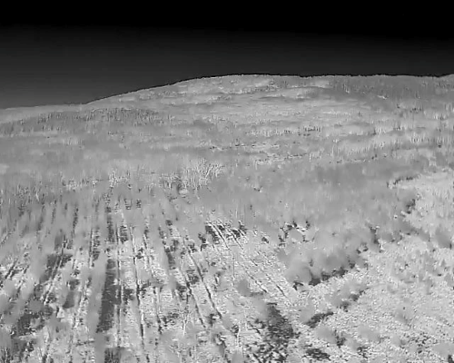 Всевидящее око контролирующих органов может следить за порядком даже ночью / фото: канал Мария Костюк в Мах