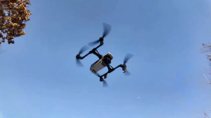 Коров в деревнях сейчас очень мало, следить за ними с воздуха не слишком трудно / фото: канал Мария Костюк в Мах