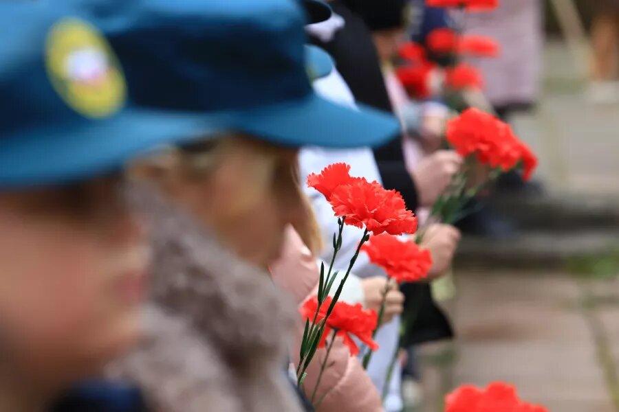 Память. Гвоздики. 9 Мая. Сергей Кулыгин, "БР"   📷