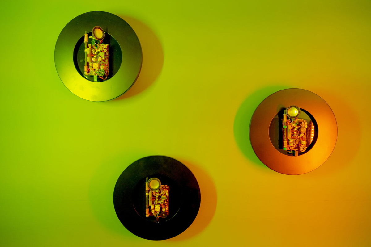    Иллюстрация: Саша Чатик. Фото: архивы пресс-служб