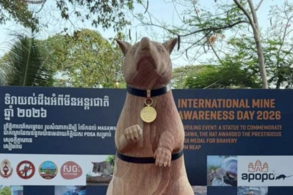 Соцсети    📷