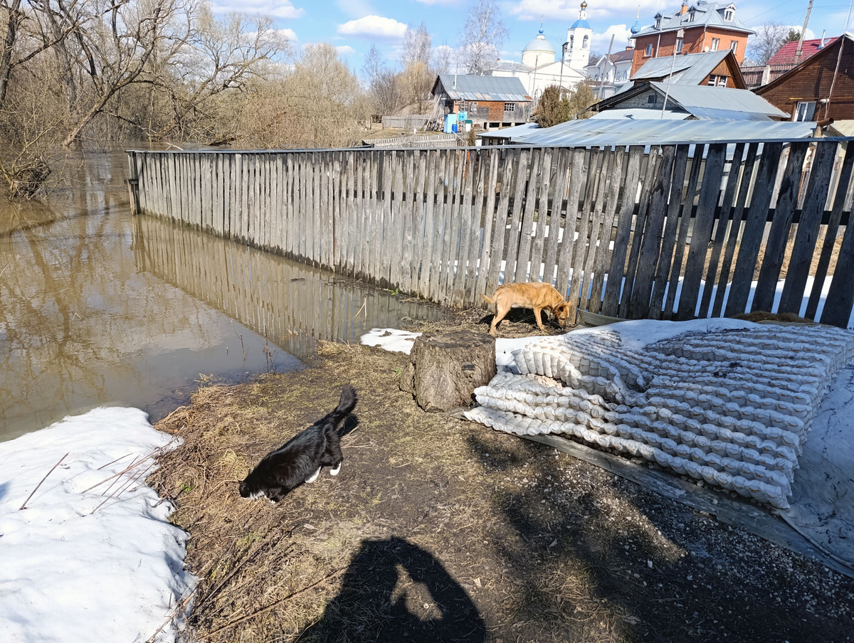 Новый уровень половодьч. 4 апреля