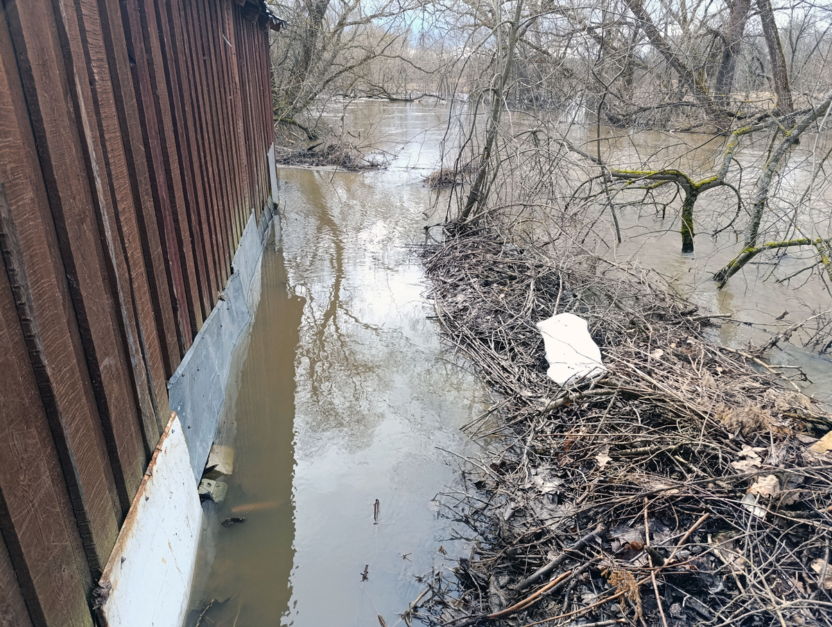 Утро 5 апреля