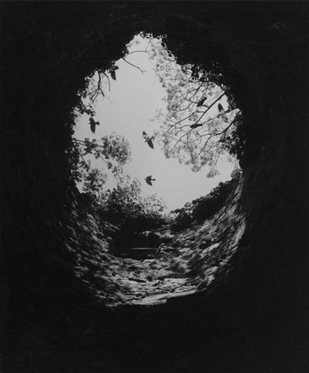 фото с сайта: https://ru.pinterest.com/pin/73887250108038239/