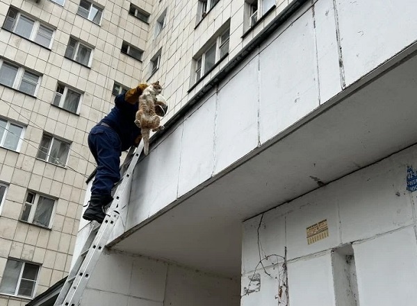     Фото: предоставлено пресс-службой по делам ГО и ЧС