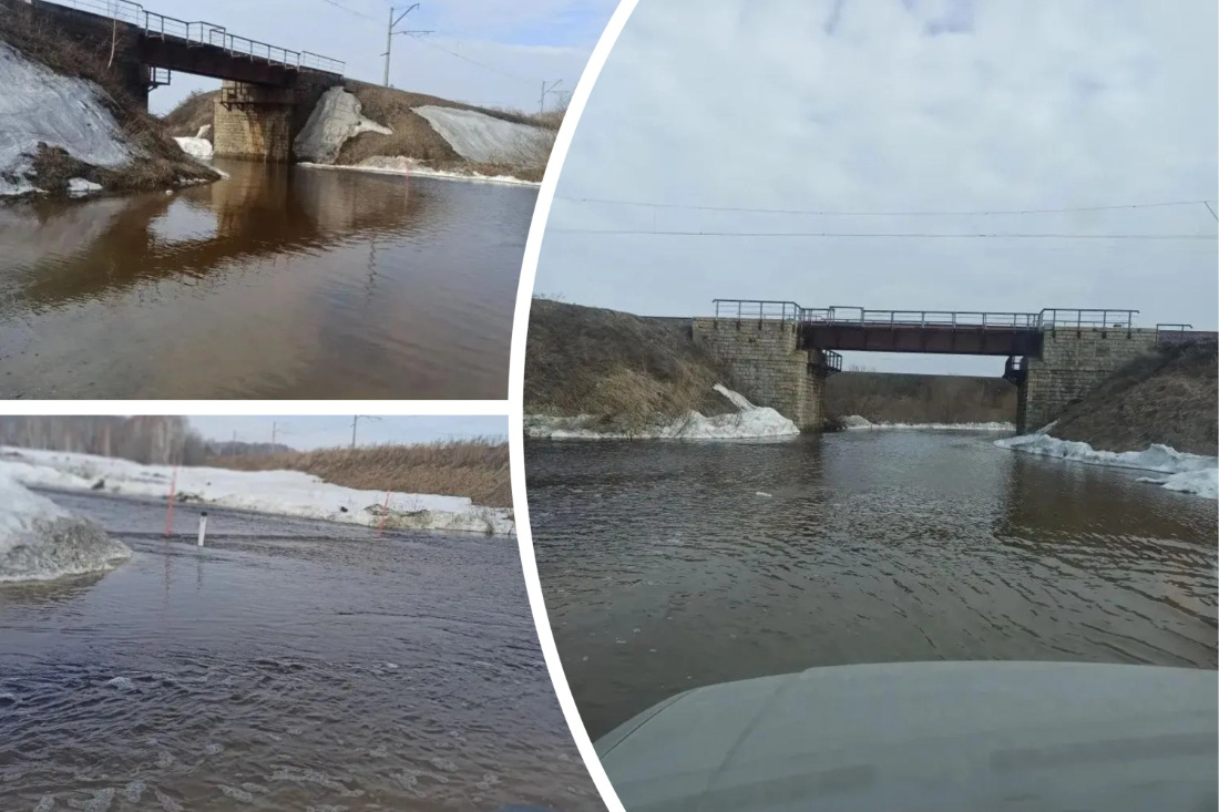    Фото: ТУАД НСО