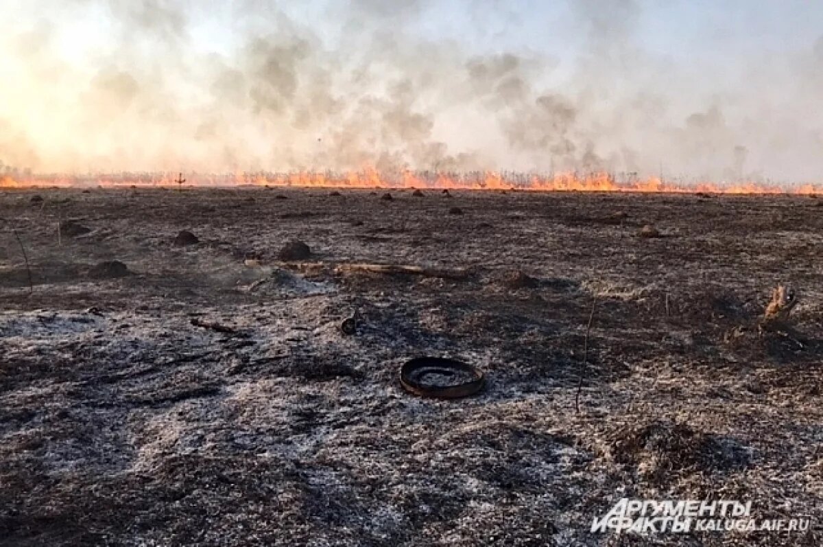   Во Владимирской области начался сезон палов
