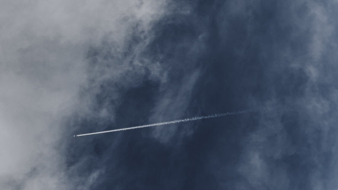    фото: Anderson W Rangel / freepik.com