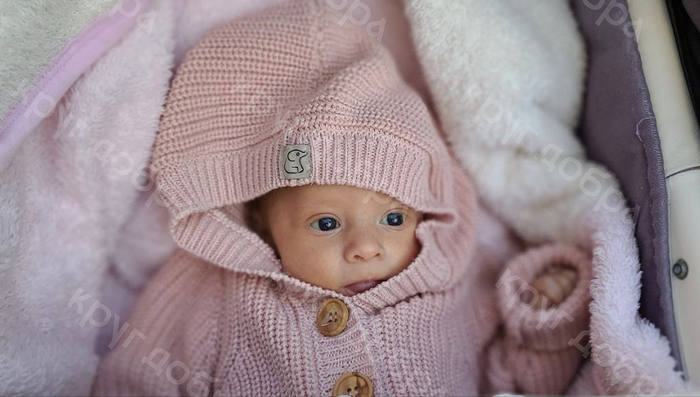 Создать карусель